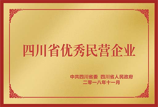 四川省优秀民营企业